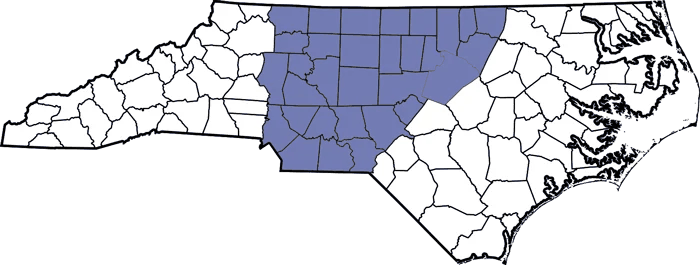 Map of North Carolina with the central counties Electra Solutions serves shaded, covering the Triangle and the Triad